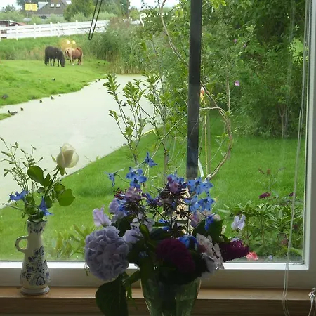 B&B Bloom