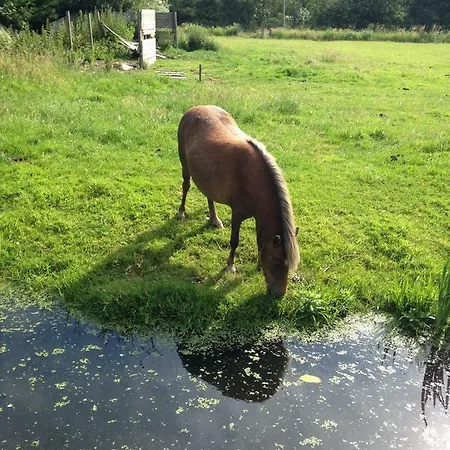 Bloom Bed & Breakfast Amsterdam