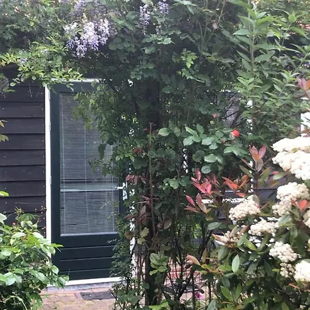 فندق مبيت وإفطار Bloom أمستردام