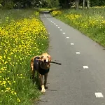 Bloom فندق مبيت وإفطار