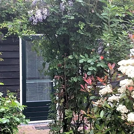 B&B Bloom Bed & Breakfast 4*