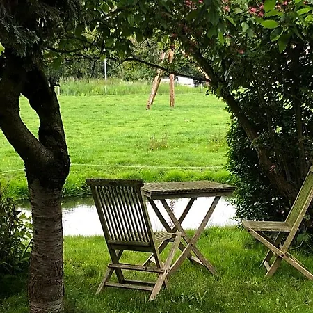 B&B Bloom Bed & Breakfast