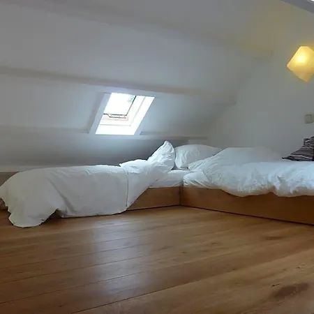 B&B Bloom 4*