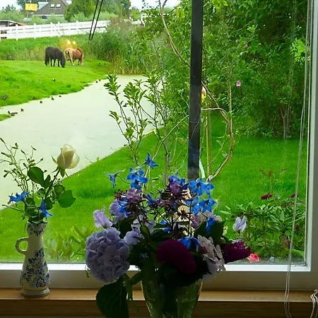 Bed & Breakfast B&B Bloom Amsterdam