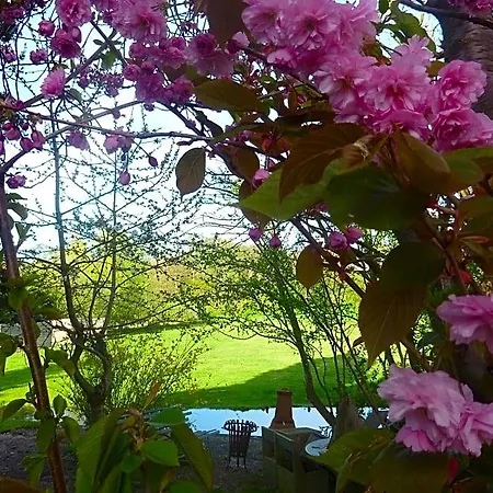 B&B Bloom Bed & Breakfast
