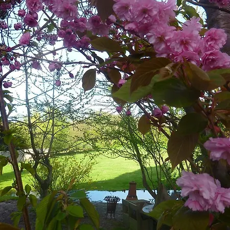 B&B Bloom Bed & Breakfast