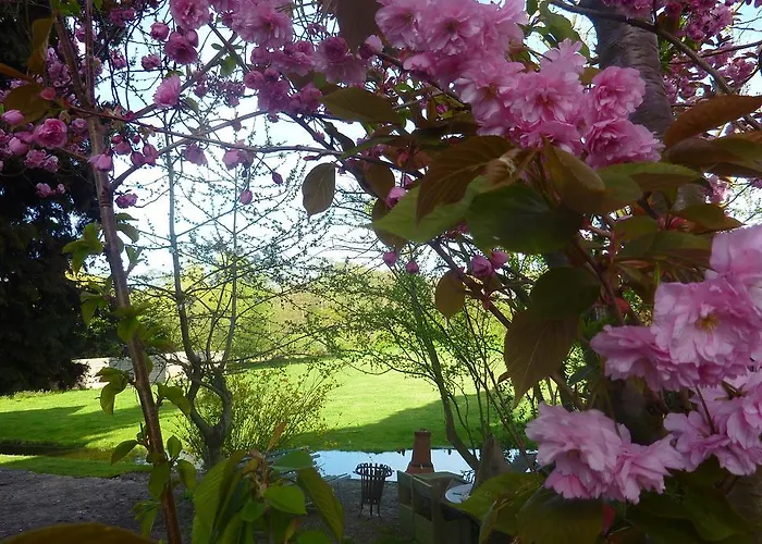 B&B Bloom Bed & Breakfast