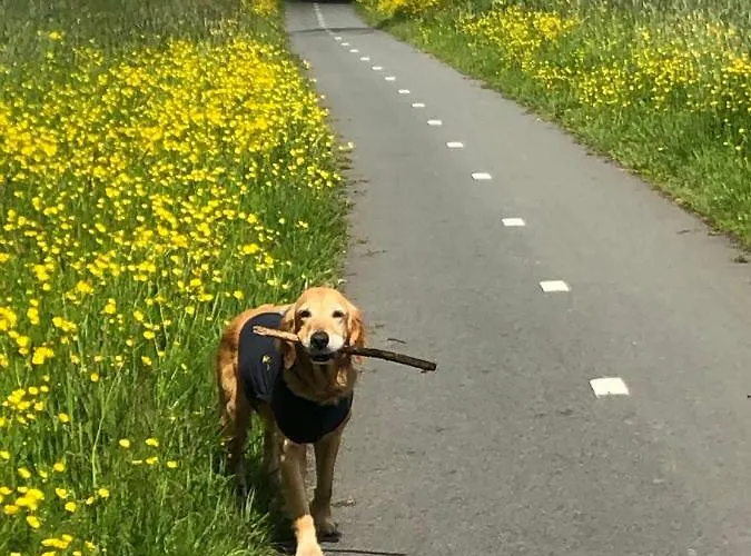 Bloom Nocleg ze śniadaniem