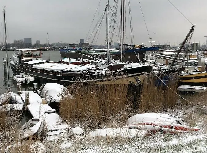 Bloom فندق مبيت وإفطار