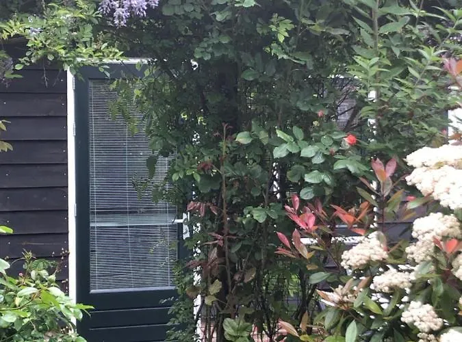 Bed & Breakfast B&B Bloom Amsterdam