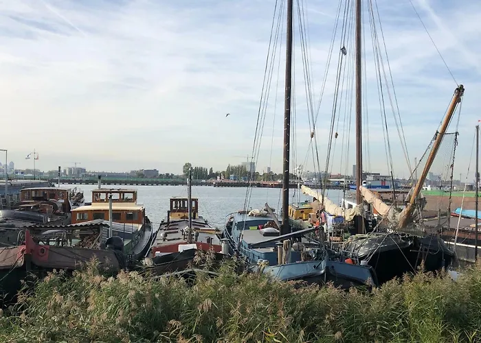 Bloom Отель типа 