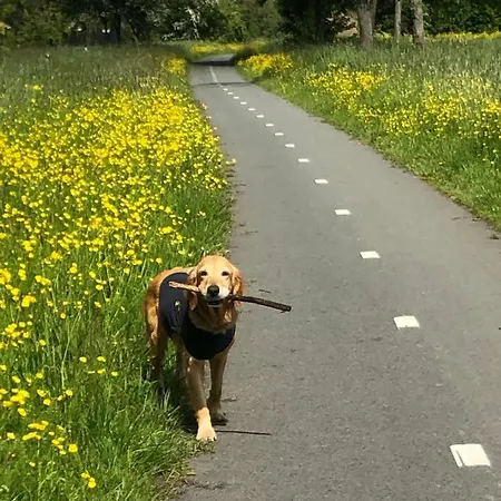 B&B Bloom Frühstückspension